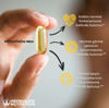 Herbalifeline Max resmi